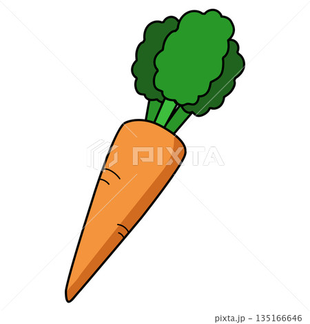 シンプルな人参のイラスト シンプルな人参のイラスト 135166646