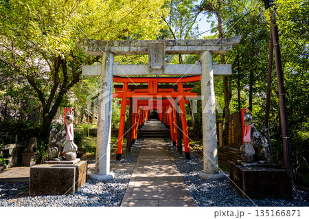 玉園稲荷神社の鳥居（長崎市） 135166871