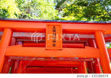玉園稲荷神社の朱い鳥居（長崎市） 135166874