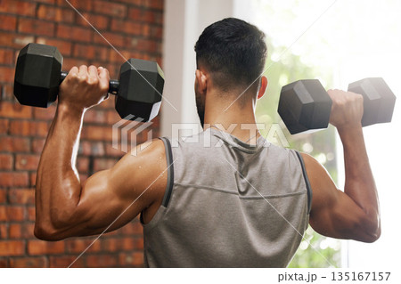 Weightlifting, muscle and man with dumbbell in gym for exercise, bodybuilder training and workout. Sports, fitness and back of strong male person lift weights for wellness, healthy body and strength 135167157