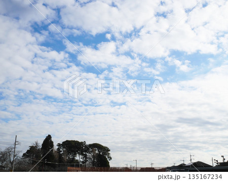 冬の空に広がる雲|三咲 冬の空に広がる雲|三咲 135167234