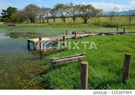 【長野】川中島古戦場の湿地にある遊歩道 【長野】川中島古戦場の湿地にある遊歩道 135167464