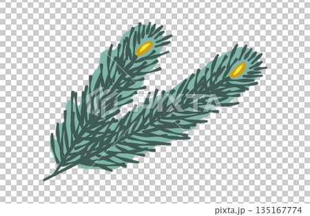 松の葉のイラスト(カラー線) 松の葉のイラスト(カラー線) 135167774