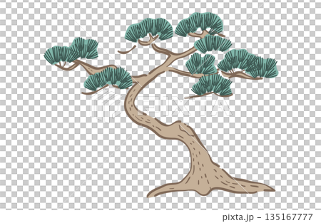 Pine tree illustration (color line) 135167777