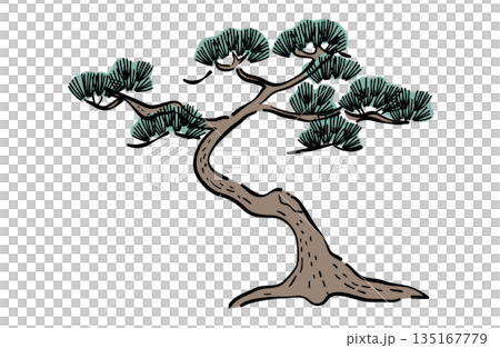 Pine tree illustration (with lines) 135167779