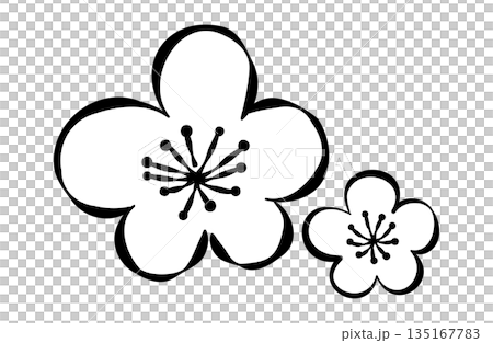 Plum blossom line drawing illustration Plum blossom line drawing illustration 135167783