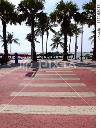 椰子の木が並ぶ海岸通り 135168018