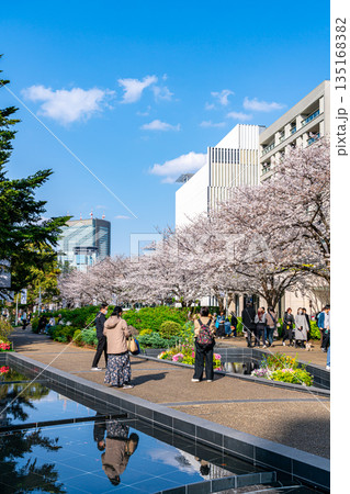 【東京都】満開の桜が綺麗な東京ミッドタウン 135168382