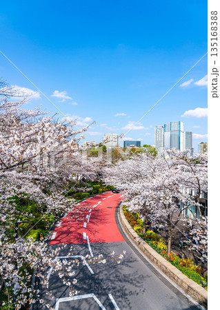 【東京都】満開の桜が綺麗な東京ミッドタウン 【東京都】満開の桜が綺麗な東京ミッドタウン 135168388