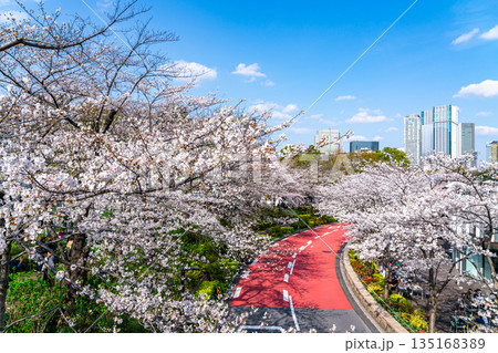 【東京都】満開の桜が綺麗な東京ミッドタウン 135168389