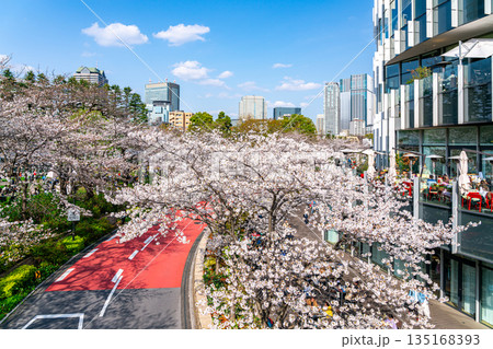 【東京都】満開の桜が綺麗な東京ミッドタウン 135168393