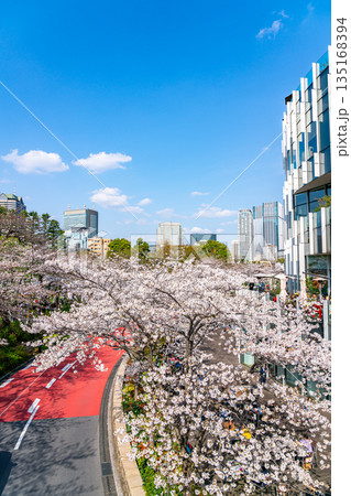 【東京都】満開の桜が綺麗な東京ミッドタウン 135168394