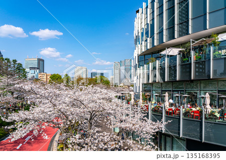 【東京都】満開の桜が綺麗な東京ミッドタウン 135168395
