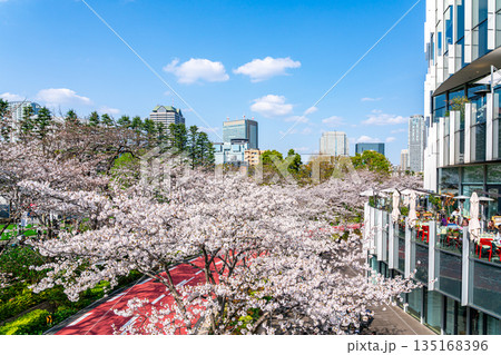 【東京都】満開の桜が綺麗な東京ミッドタウン 135168396