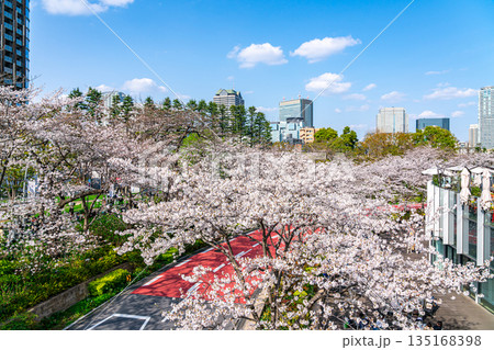 【東京都】満開の桜が綺麗な東京ミッドタウン 【東京都】満開の桜が綺麗な東京ミッドタウン 135168398