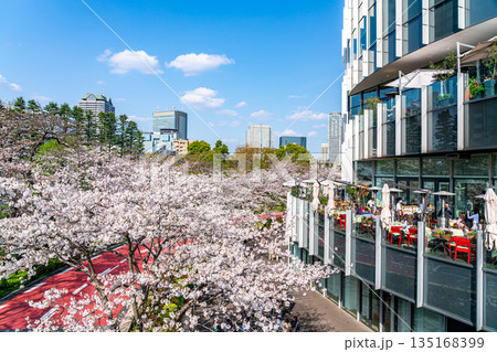【東京都】満開の桜が綺麗な東京ミッドタウン 135168399