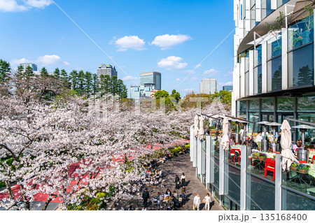 【東京都】満開の桜が綺麗な東京ミッドタウン 135168400
