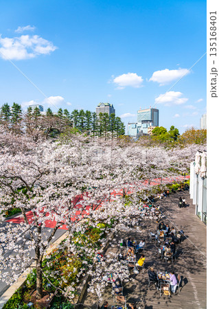 【東京都】満開の桜が綺麗な東京ミッドタウン 135168401
