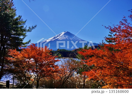 紅葉と河口湖と富士山 紅葉と河口湖と富士山 135168600