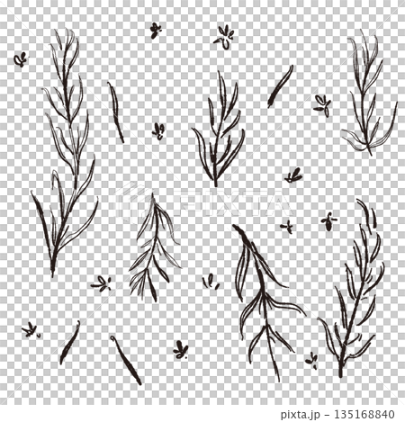 Hand-drawn monochrome illustrations of rosemary (frames, wreaths, patterns, etc.) 135168840