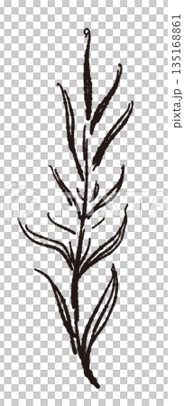 手繪單色迷迭香插圖（邊框、花圈、圖案等） 135168861