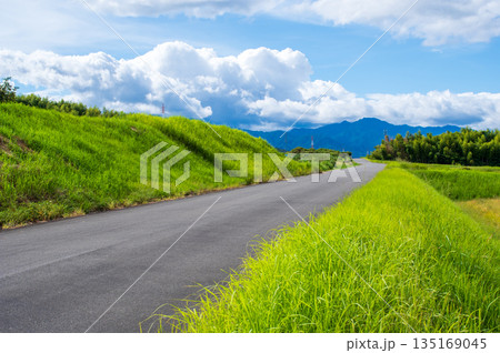 爽やかな夏の田舎風景 爽やかな夏の田舎風景 135169045