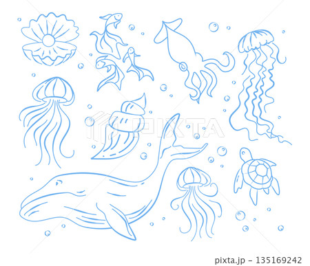 Doodle set of marine animals isolated on white 135169242