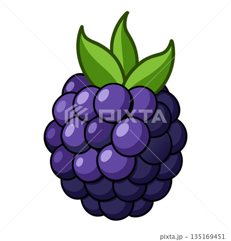 Delicious and Juicy Blackberry Freshness in a Vibrant Cartoon Style Delicious and Juicy Blackberry Freshness in a Vibrant Cartoon Style 135169451