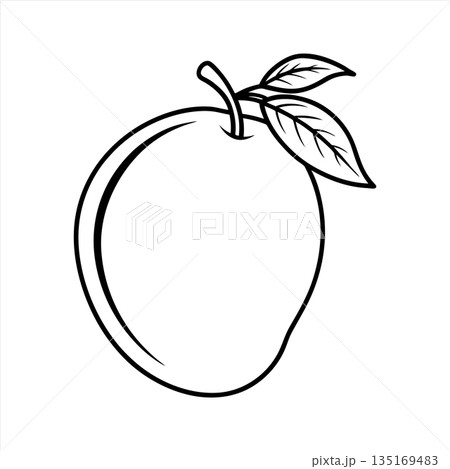 Simple Apple Outline Drawing for Coloring Book or Educational Material Simple Apple Outline Drawing for Coloring Book or Educational Material 135169483