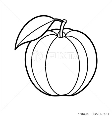 Simple peach outline illustration perfect for coloring books and design Simple peach outline illustration perfect for coloring books and design 135169484