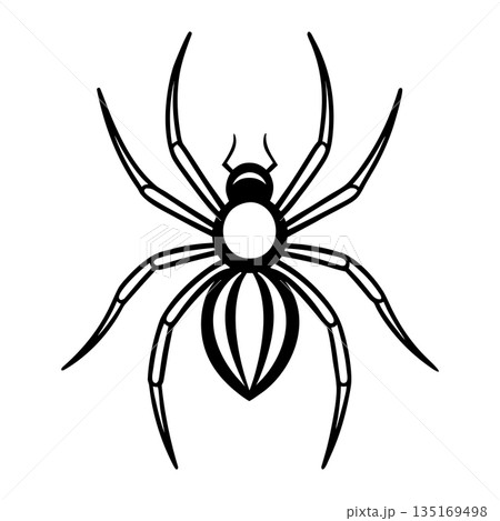 Black and white spider illustration with detailed leg and body features Black and white spider illustration with detailed leg and body features 135169498