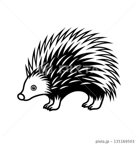Stylized black and white illustration of an adorable hedgehog side view Stylized black and white illustration of an adorable hedgehog side view 135169503