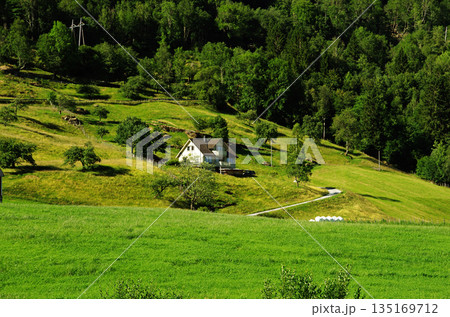 ハダンゲンフィヨルドの沿岸沿いの田園風景 ハダンゲンフィヨルドの沿岸沿いの田園風景 135169712