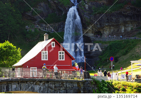 ハダンゲンフィヨルドの沿岸沿いの田園風景 135169714