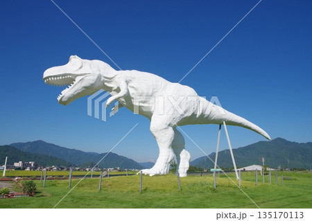ホワイトザウルス 135170113