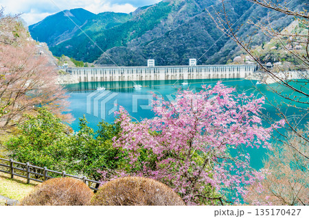 東京 奥多摩湖と湖畔の桜 135170427