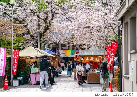 【埼玉県】満開の桜が綺麗な川越の蓮馨寺 【埼玉県】満開の桜が綺麗な川越の蓮馨寺 135170504