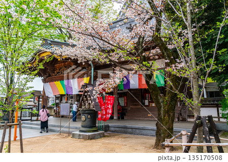 【埼玉県】満開の桜が綺麗な川越の蓮馨寺 【埼玉県】満開の桜が綺麗な川越の蓮馨寺 135170508