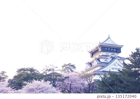 小倉城と桜 135172040