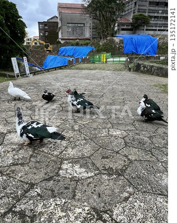 首里城のバリケン　 135172141