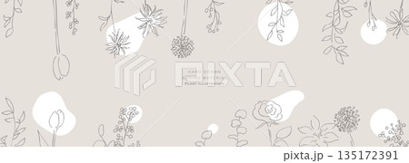 手描きの草木イラスト。植物のベクター背景イラスト。植物フレーム。 135172391