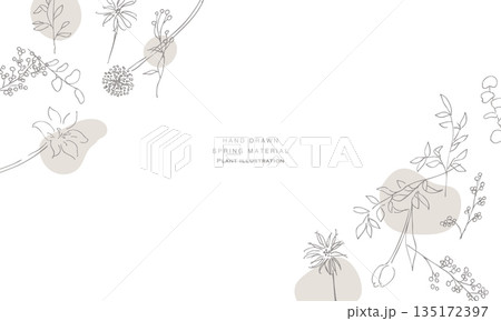 手描きの草木イラスト。植物のベクター背景イラスト。植物フレーム。 135172397