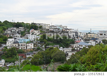 【和歌山県和歌山市】レモンの丘公園から望む雑賀崎の町並み 135172611