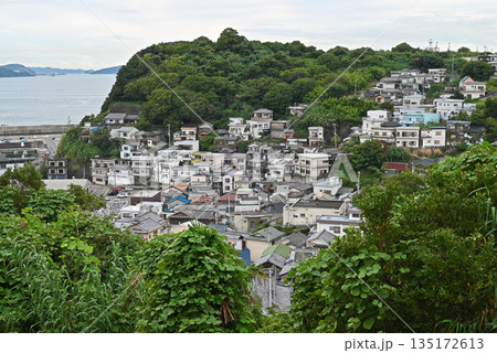 【和歌山県和歌山市】レモンの丘公園から望む雑賀崎の町並み 【和歌山県和歌山市】レモンの丘公園から望む雑賀崎の町並み 135172613