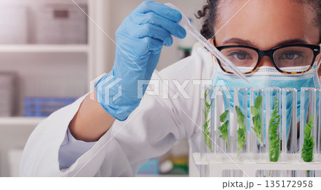 Science, sample and plant with woman in laboratory for medical, pharmacy and research. Biotechnology, growth and healthcare study with scientist and test tube for sustainability, vaccine and medicine 135172958