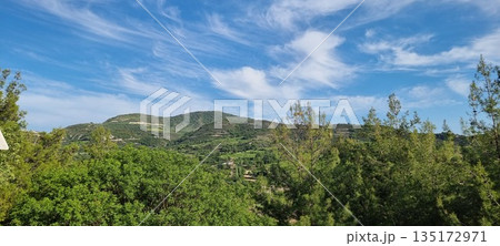 Lush green hills under blue sky 135172971