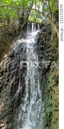 Narrow waterfall over mossy rock wall Narrow waterfall over mossy rock wall 135172974