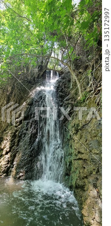 Narrow waterfall over mossy rock wall Narrow waterfall over mossy rock wall 135172997