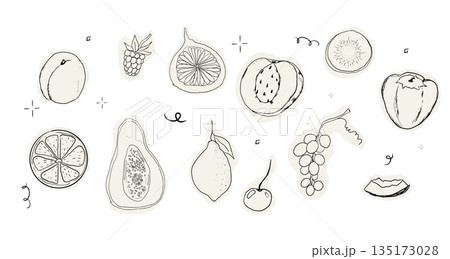 Fruit doodle sketch hand drawn set tropical and garden fruits and berries. Decorative vector elements for poster, placard, greeting card, menu or wedding invitation Fruit doodle sketch hand drawn set tropical and garden fruits and berries. Decorative vector elements for poster, placard, greeting card, menu or wedding invitation 135173028