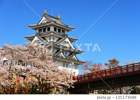 満開の桜と豊臣秀吉ゆかりの墨俣一夜城2 135173086